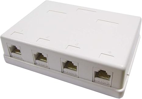BeMatik - Caja de superficie de 4 RJ45 Cat.6 UTP: Amazon.es: Informática