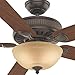 Casablanca 55006 Ainsworth Gallery 60-Inch 5-Blade Single Light Ceiling Fan, Onyx Bengal with Distressed Walnut/Dark Walnut Blades and Toffee Glass Bowl Light
