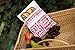Lunchskins Reusable Sandwich Bag, Red Word Collage