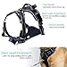 Rabbitgoo LED Dog Harness - USB Rechargeable - Illuminated No Pull Dog Vest Harness, Reflective Safety Pet Vest for Large Dogs - Adjustable, Comfort Padded, Easy Control (Black, Large)