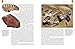 Mammoths and Mastodons of the Ice Age