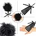 Vivilover Feather Tickler and Leather Slapper Costume Accessory (Black)