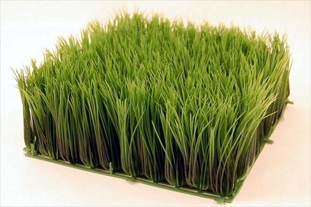 Artificial Wheat Grass- Fake Soft PVC Plastic Decorative Wheatgrass: Ornamantal Flower Arranging & Home Decor - 12"x12"x4"