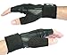 Nordic Lifting Weight Lifting Gloves with 12