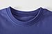 Fiream Boys Cotton Skate Printing Clothing Sets Summer Shortsleeve t-Shirts and Shorts 2 Pieces Clothing Sets(18038,2-3YRS)