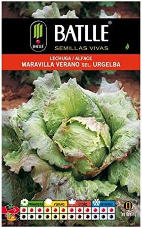 Batlle 013715bols - Semillas de Lechuga Maravilla de Verano Sel ...