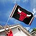Chicago Bulls Flag 3x5 Banner