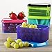 Fit & Fresh Kids' 2-Cup Chilled Containers, Set of 4 Reusable Portion Control Containers with Removable Ice Packs, BPA-Free, Freezer/Microwave/Dishwasher Safe