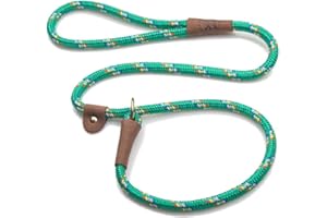 Mendota Pet Slip Leash - Dog Lead and Collar Combo - Made in The USA - Kelly Confetti, 1/2 in x 6 ft - for Large Breeds