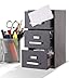 Mini File Cabinet Business Card Holder 3-Drawer (1, Black)