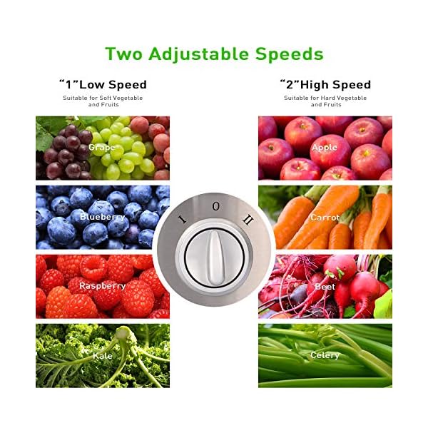 Jocuu Centrifugal Juicer Machine, Juice Extractor with Wide Feed Chute, Easy to Clean, 600W Power 2-Speed, 304 Stainless… - Image 5