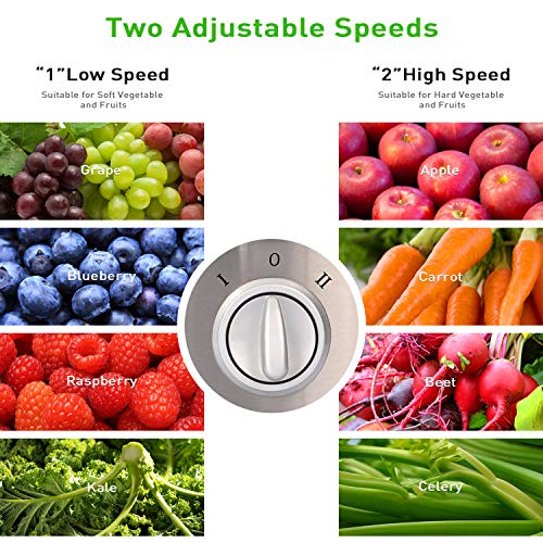 Jocuu Juicer Machine, Centrifugal Juicer Juice Extractor Wide Feed Chute Easy to clean, 2 Speed 600W Power, Food Grade 304 Stainless Steel BPA-Free Dishwasher Safe