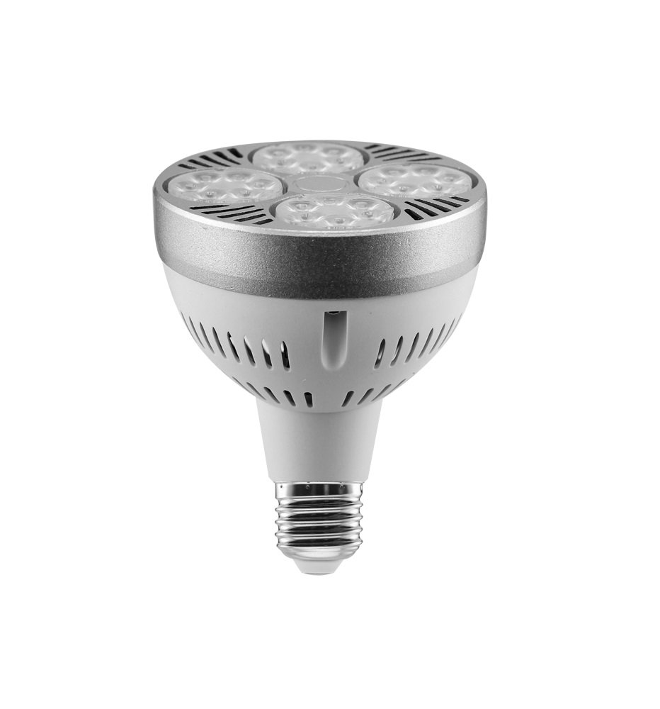 Tecnolux Euro Lamp Bulb LED PAR30 35W E27 2975 lm Natural Light 4200K