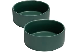 SPUNKYJUNKY 28.7OZ Ceramic Dog and Cat Bowl, Modern Cute Weighted Food Water Bowl for Replacement Green (2 Pack)