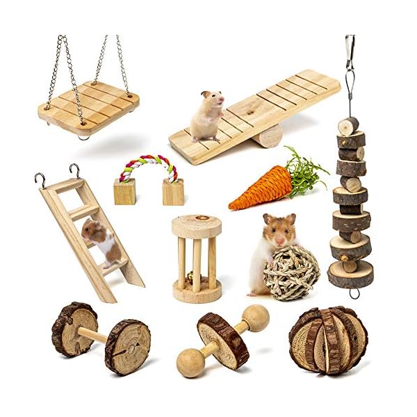 Labeol-Hamster-Chew-Toys-Accessories-Pet-Natural-Wooden-11-Pcs-Gerbil-Rat-Guinea-Pig-Chinchilla-Gerbils-Dumbbells-Accessories-Exercise-Bell-Roller-Teeth-Care-Molar-Toy-for-Parrot-Syrian-Hamster Labeol Hamster Chew Toys Small Animal Boredom Breakers Cage Accessories Pet 11 Pcs Natural Wooden Toys Hamster Ball…