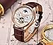 Affute Mens Automatic Mechanical Wrist Watches Stainless Steel Date Skeleton Tourbillon Watch (Brown Leather)