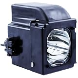 BP96-01653A Samsung HLT5675SX/XAA TV Lamp