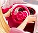 Barbie Glam Doll and Convertible