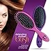 Dtang Hair Brush 2 Pack Metallic Pink & Purple Best Detangler Hair Brush for Wet & Dry Hair Rubberized Grip Soft Bristles Ideal for daily use
