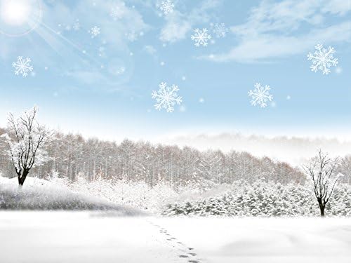 7X5ft (220cmX150cm)Christmas Photography Backgrounds Winter Snow Nature Backdrops Snowflake Blue Sky Forest Child Birthday Photo Backdrop