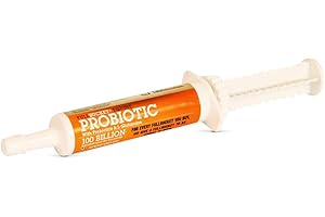 FullBucket Health Equine Probiotic Paste 32.5CC