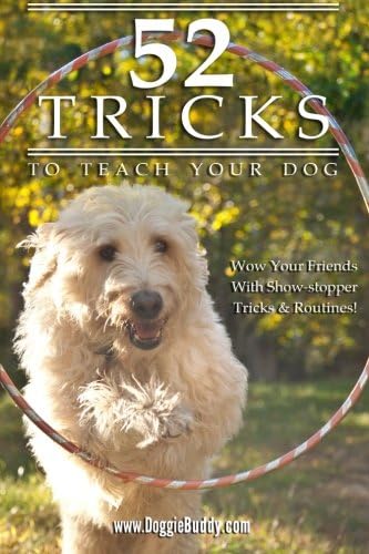 52 Tricks To Teach Your Dog