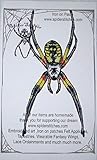 Golden Writing Orb Weaver Spider Argiope aurantia Gothic Yellow Garden Spider Iron on Patch