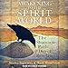 Awakening to the Spirit World: The Shamanic Path of Direct Revelation by