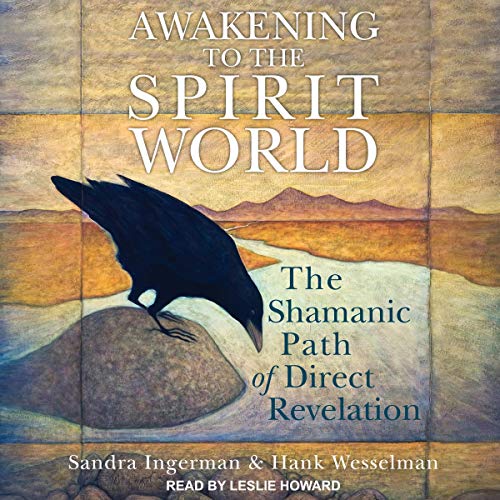 Awakening to the Spirit World: The Shamanic Path of Direct Revelation by Sandra Ingerman