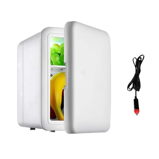 poetryer - Mini frigorífico eléctrico, 4 litros, Mini Nevera con ...