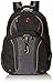 Swiss Gear SA3253 Black with Gray TSA Friendly ScanSmart Laptop Backpack - Fits Most 15 Inch Laptops and Tablets