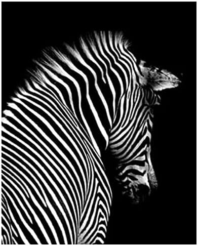 Amazon Co Jp 動物の黒と白のシマウマの絵ダイヤモンド絵画クロスステッチモザイク40x50cm ホビー