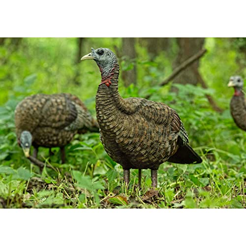 AVIANX LCD Lookout Hen Turkey Decoy Durable Realistic Lifelike