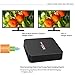 Henscoqi MXQ PRO Smart TV Box 1GB 8GB 4K HD 3D Wifi H.265 Android TV Box [Pure Version]