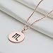 KUIYAI Zodiac Pendant Necklace Rose Gold Disc Horoscope Necklace Birthday Gift (Scorpio RG)