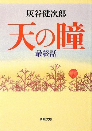 天の瞳 最終話 角川文庫 灰谷 健次郎 本 通販 Amazon