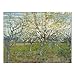 Wieco Art Orchard with Blossoming Apricot Trees Giclee Canvas Prints Wall Art of Van Gogh Famous Oil Paintings Reproduction Modern Classic Flowers Landscape Pictures Artwork for Home Decoration