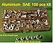 100 Pcs SAE Rivet Nut Rivnut Aluminum Assort Kit 6-32 8-32 10-24 10-32 1/4-20