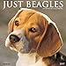 Just Beagles 2017 Wall Calendar (Dog Breed Calendars)