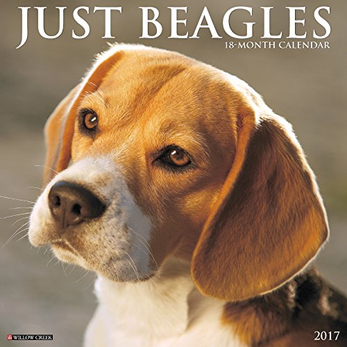 Just Beagles 2017 Wall Calendar (Dog Breed Calendars)