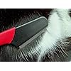 Masterclip-Flea-Removal-Grooming-Comb-for-Cats-Dogs-Rabbits-Effective-against-Fleas-Nits-Biting-Pests-Ticks-Flea-Dirt-Ectoparasites Masterclip | Flea Comb - Flea Removal Grooming Comb for Cats, Dogs, Rabbits. Effective against Fleas, Nits, Biting Pests…