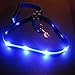 BLAZIN Light Up Dog Leash LED - 1,000 Feet of Visibility - USB Rechargeable Waterproof Glow in The Dark Dog Leash - 6 Foot, Blue