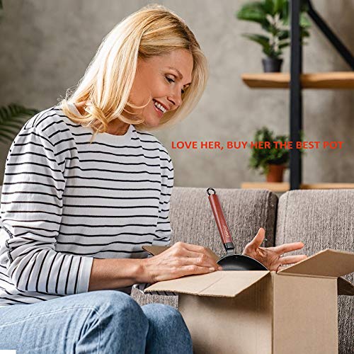 Debo Carbon Steel Frying Pan 10" Nonstick Pan Dishwasher Safe Suitable