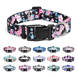 Suredoo Adjustable Dog Collar with Patterns, Ultra