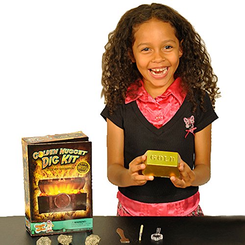 Discover with Dr. Cool Golden Nugget Dig Kit - Excavate Real Specimens!