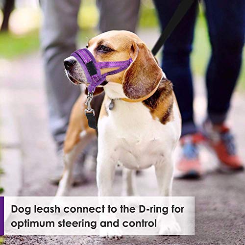 AutoWT Nylon Dog Muzzle, Adjustable Loop, Soft Flannel Padding, Comfortable Breathable Secure Quick Fit Muzzles for Small Medium Large Dog, Prevent from Biting, Chewing and Barking (M, Purple) - Thumbnail 5