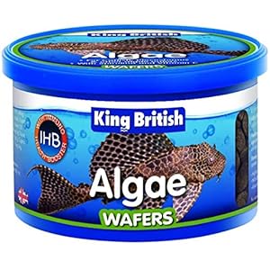 Beaphar King British Algae, Wafer with IHB, 100 g