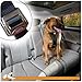 Kurgo Tru-Fit Enhanced Strength Dog Harness - Certified Crash Tested Car Safety Harness for Dogs - Metal Buckles, Padded Chest - Includes Pet Seatbelt - No Pull Training - Black, Extra Small