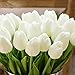 HoYuanFlo Artificial Tulips Single Stem PU Touched 10 Pcs Arrangement Bouquet with Glorious Moral for Home Office Wedding Parties (White)