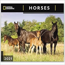 National Geographic Horses 2021 Wall Calendar: Zebra Publishing: 9781772185034: Amazon.com: Books